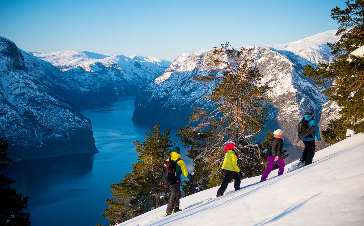 Cuatro personas caminando con raquetas de nieve y observando el Aurlandfjord a 800 metros de altura en un frío pero bonito día de invierno