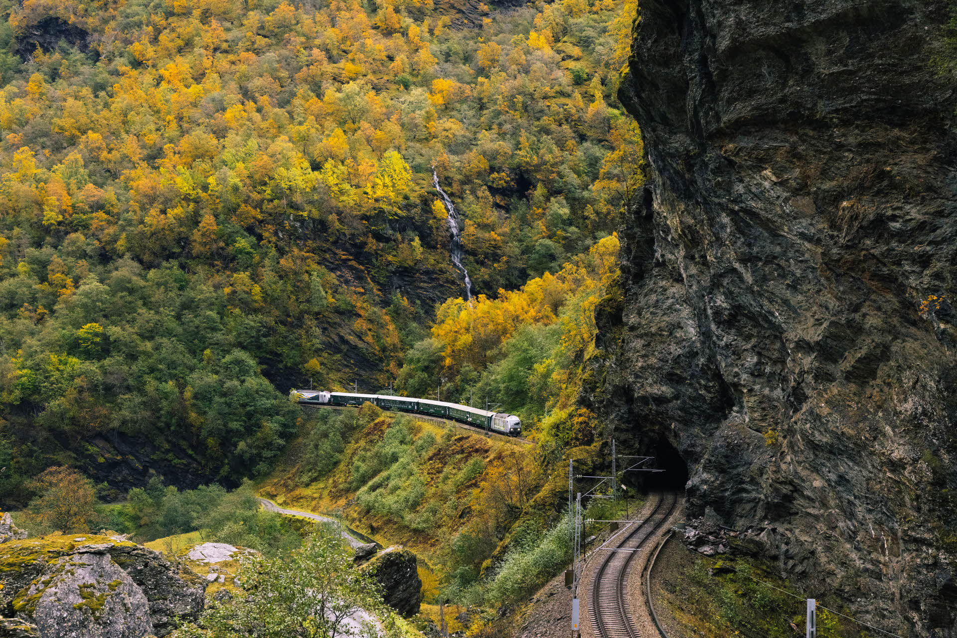 The Flåm Railway between two tunnels in the Flåm Valley surrounded by autumn colored forest. 