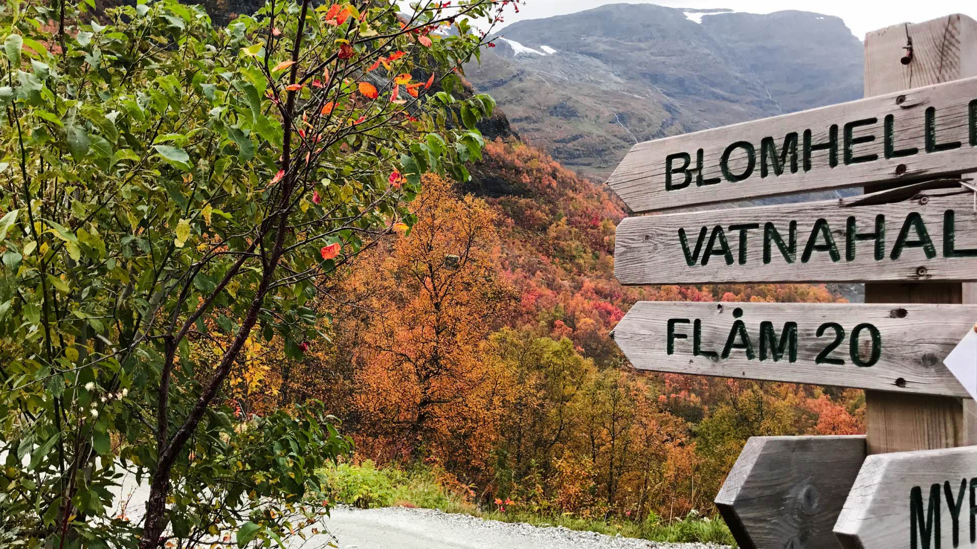紅葉の森と、ヴァトナハルセン(Vatnahalsen)とフロムへの道順を示す木製の標識。 