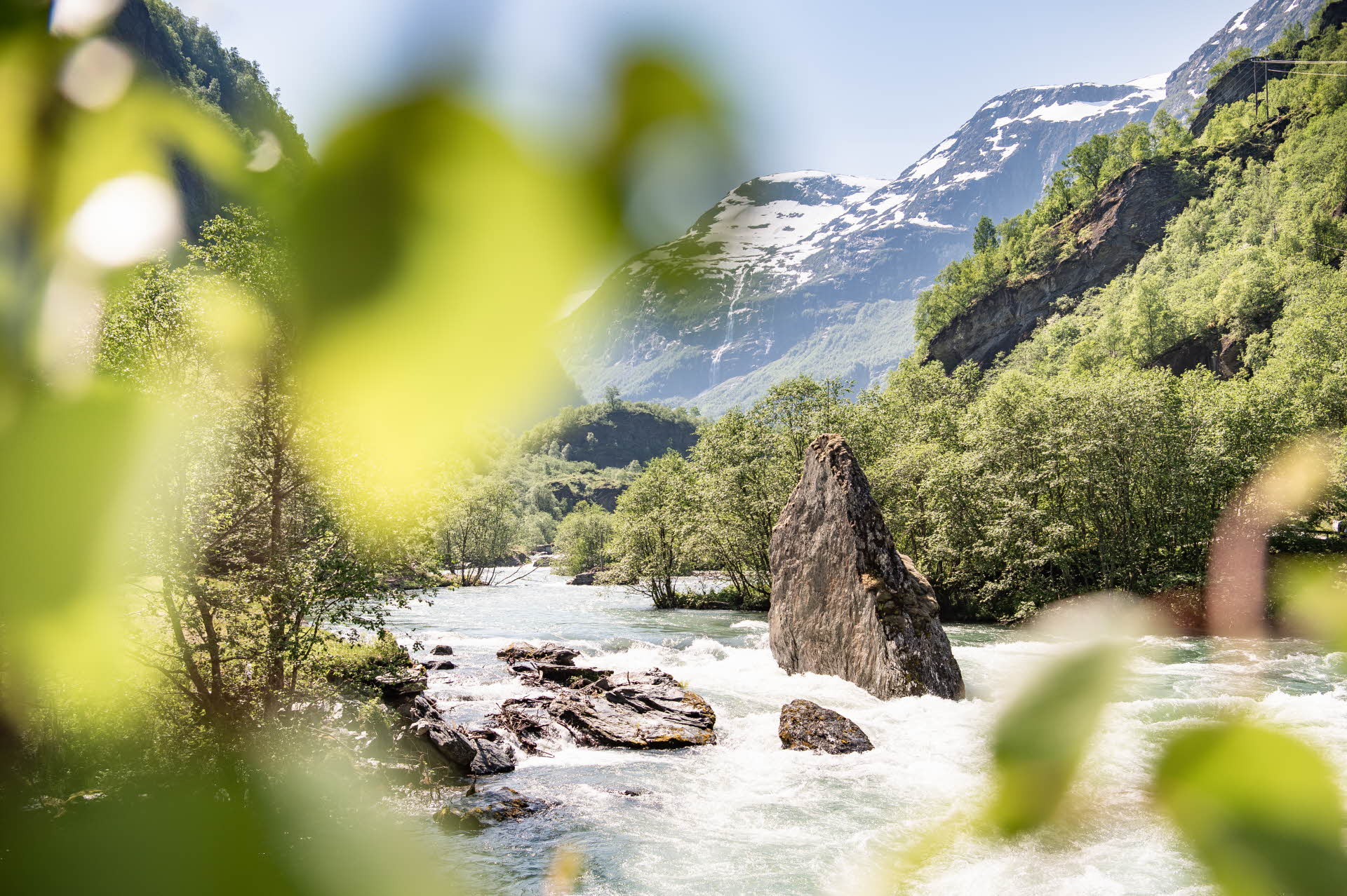 Huge pointed rock in the middle of raging Flam river in lush summer landscape with tall snow capped mountains in background