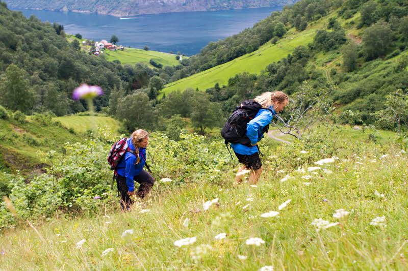 Fjordsafari & Wandern