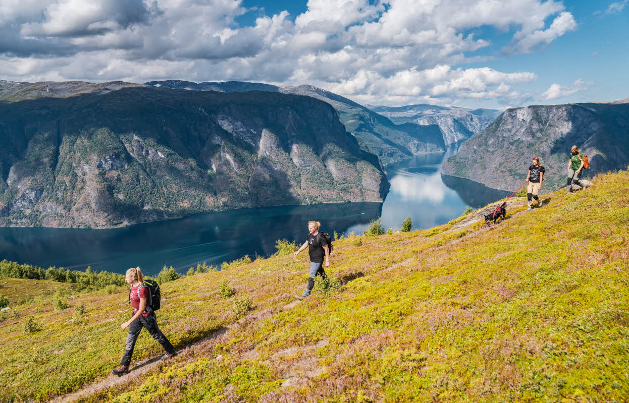Vue du mont depuis le cairn. Le Breiskrednosi, au-dessus du Nærøyfjord
