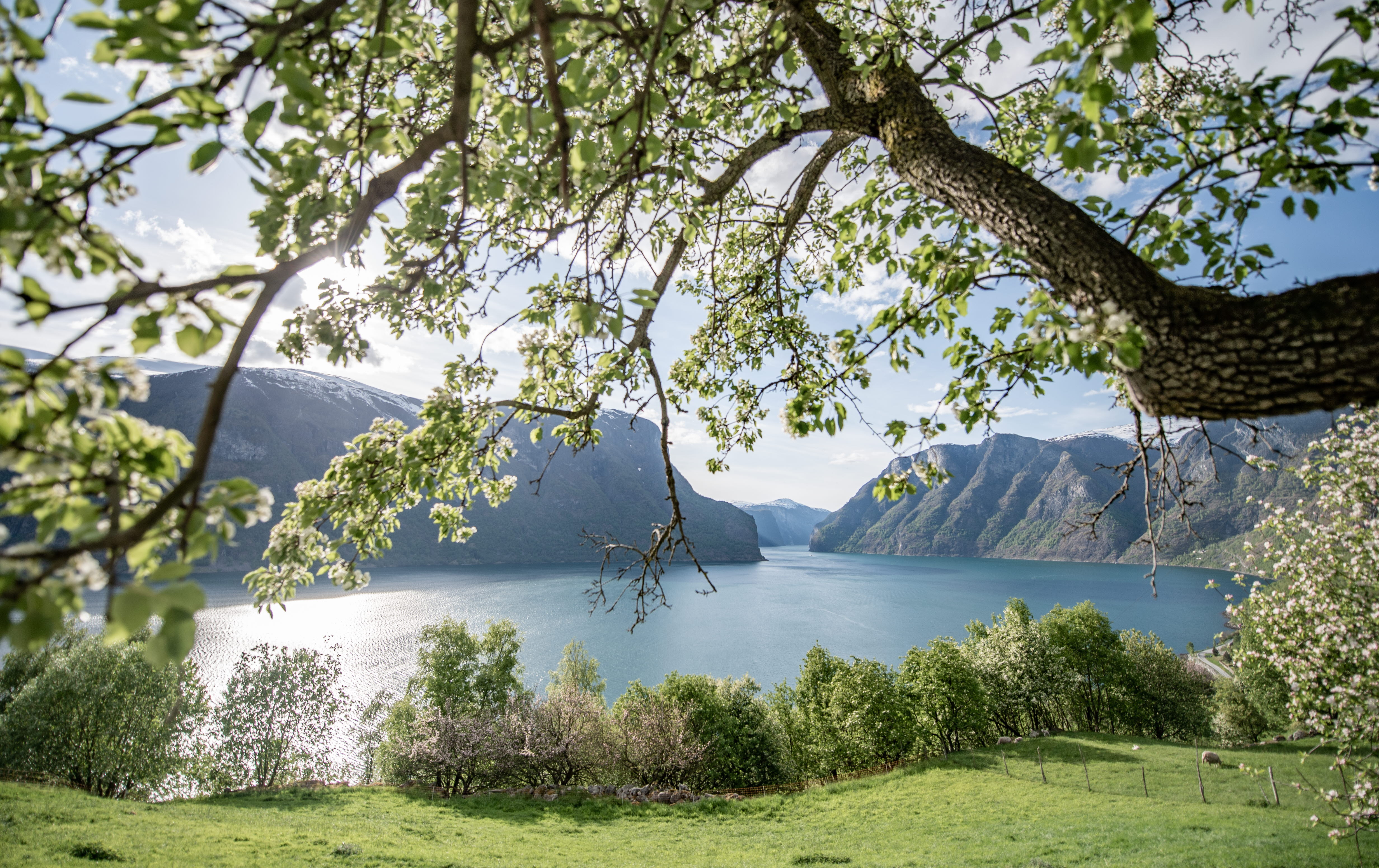 View over the Aurlandsfjord on a fine summer day