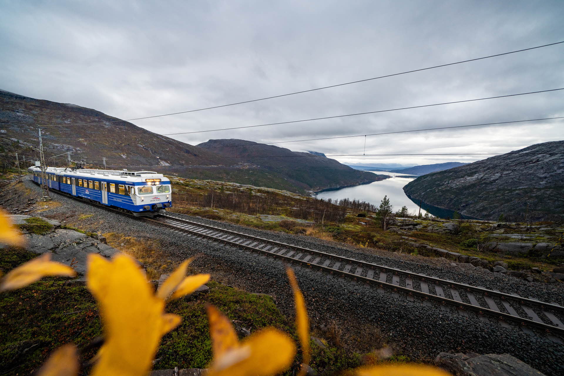 El Arctic Train azul en las vías. Rombakken de fondo y unas hojas amarillas en primer plano. 