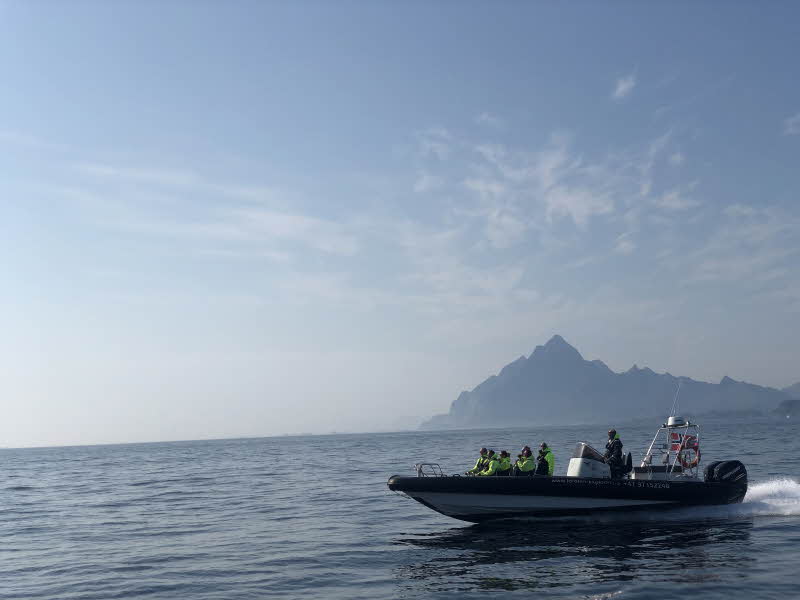 Safari marino a Trollfjorden desde Svolvær