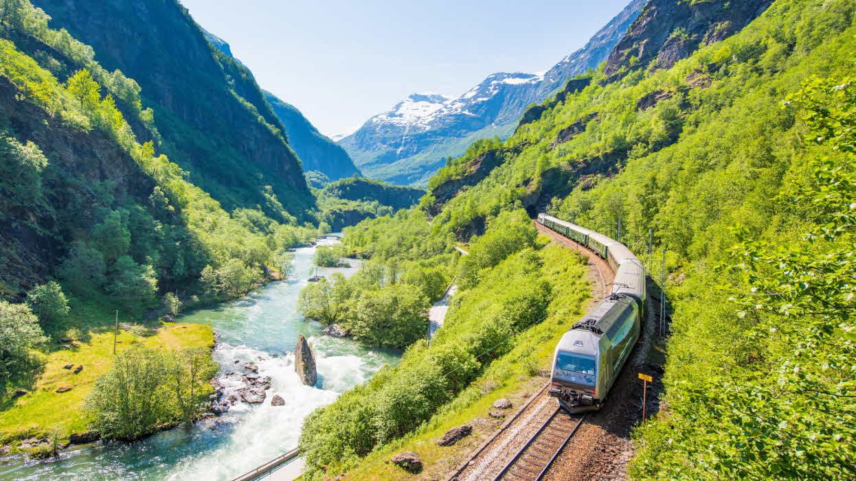 Die Flåmbahn neben dem türkisfarbenen Fluss, dahinter schneebedeckte Berge und ringsum grüner Wald.