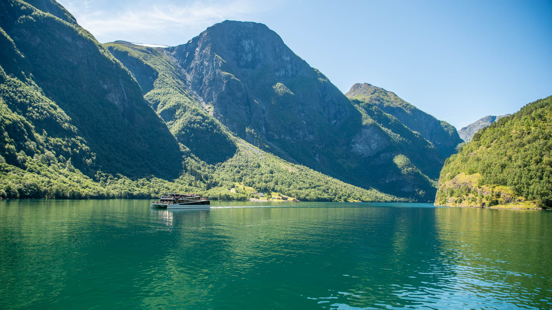 The Future of the Fjords sails in the stillness of the Nærøyfjord on a summer day, surrounded by tall mountains