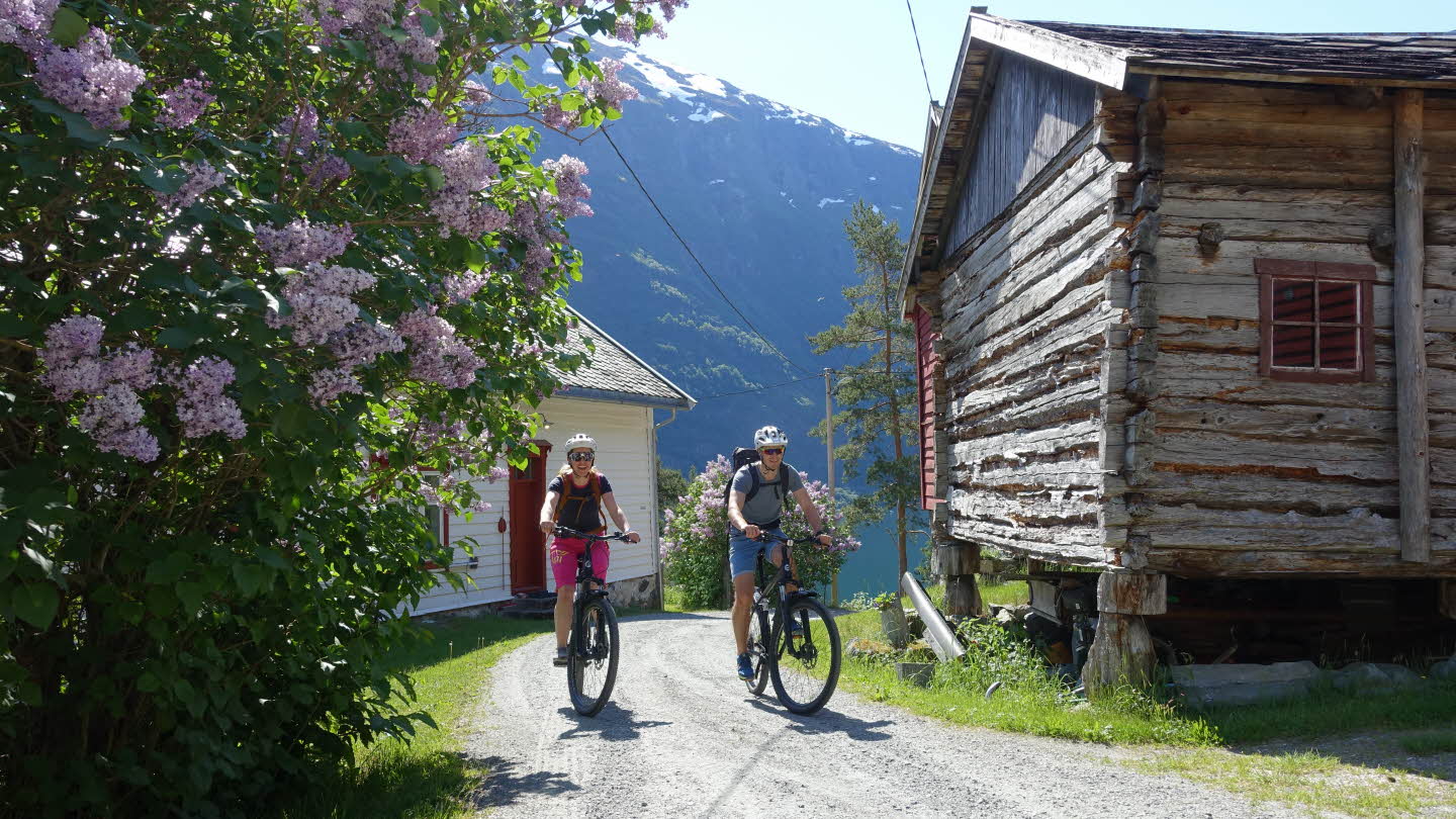 A happy mid 30's couple on bikes climbing up the gravel road in Dyrdal between old buildings and violet flowering trees