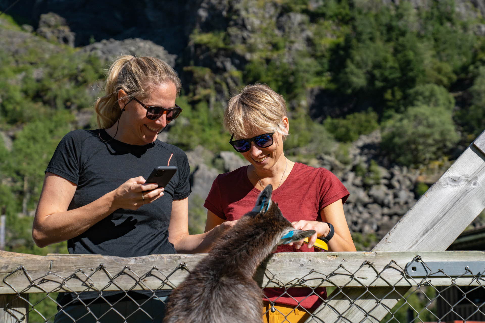 Two blonde women smiling while patting a goat over a gate.
