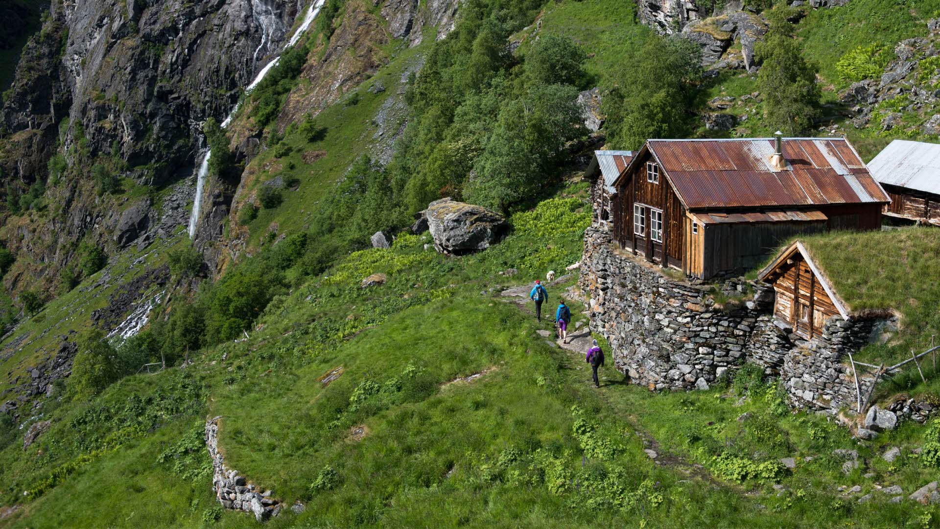 人们在去瀑布的路上，路过艾于兰达林 (Aurlandsdalen) 山谷中辛哈尔海姆 (Sinjarheim) 的老房子