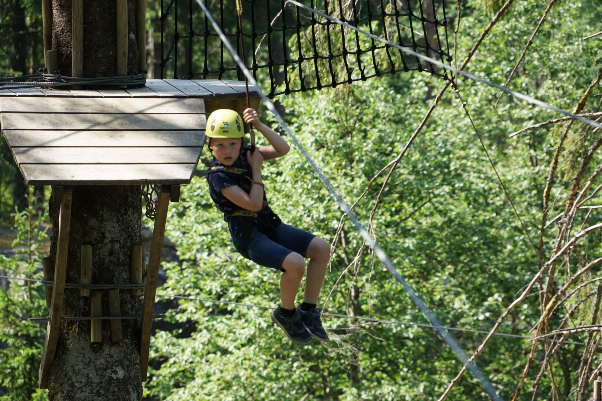 ハーネスで吊り下がってジップラインをすべる少年。背景には、木の上に設置されたプラットフォーム。 