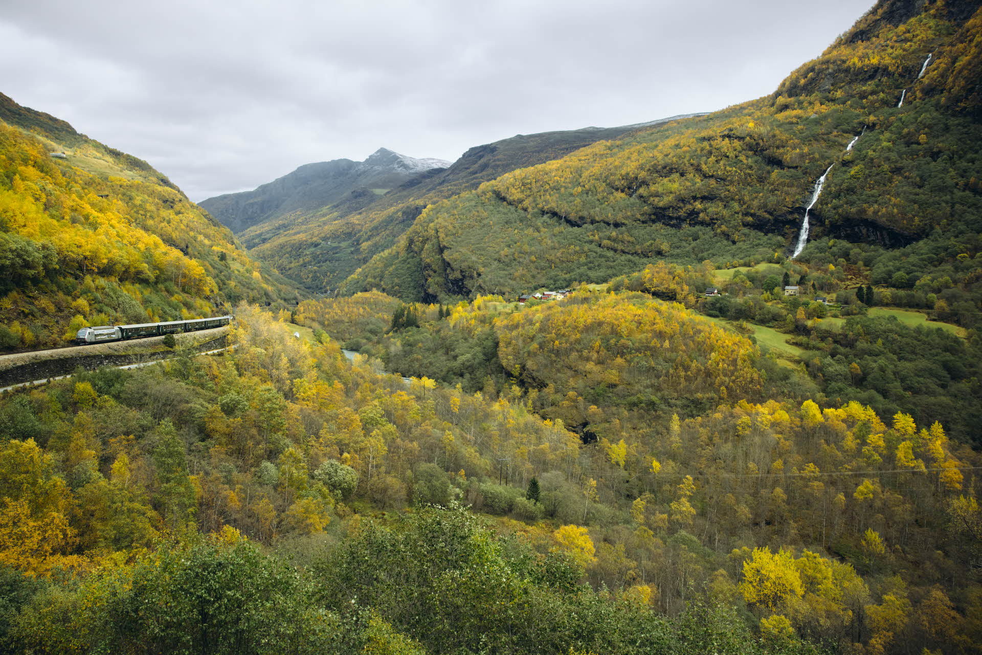 El tren de Flåm con un paisaje de verano a su paso por el valle de Flåm.   