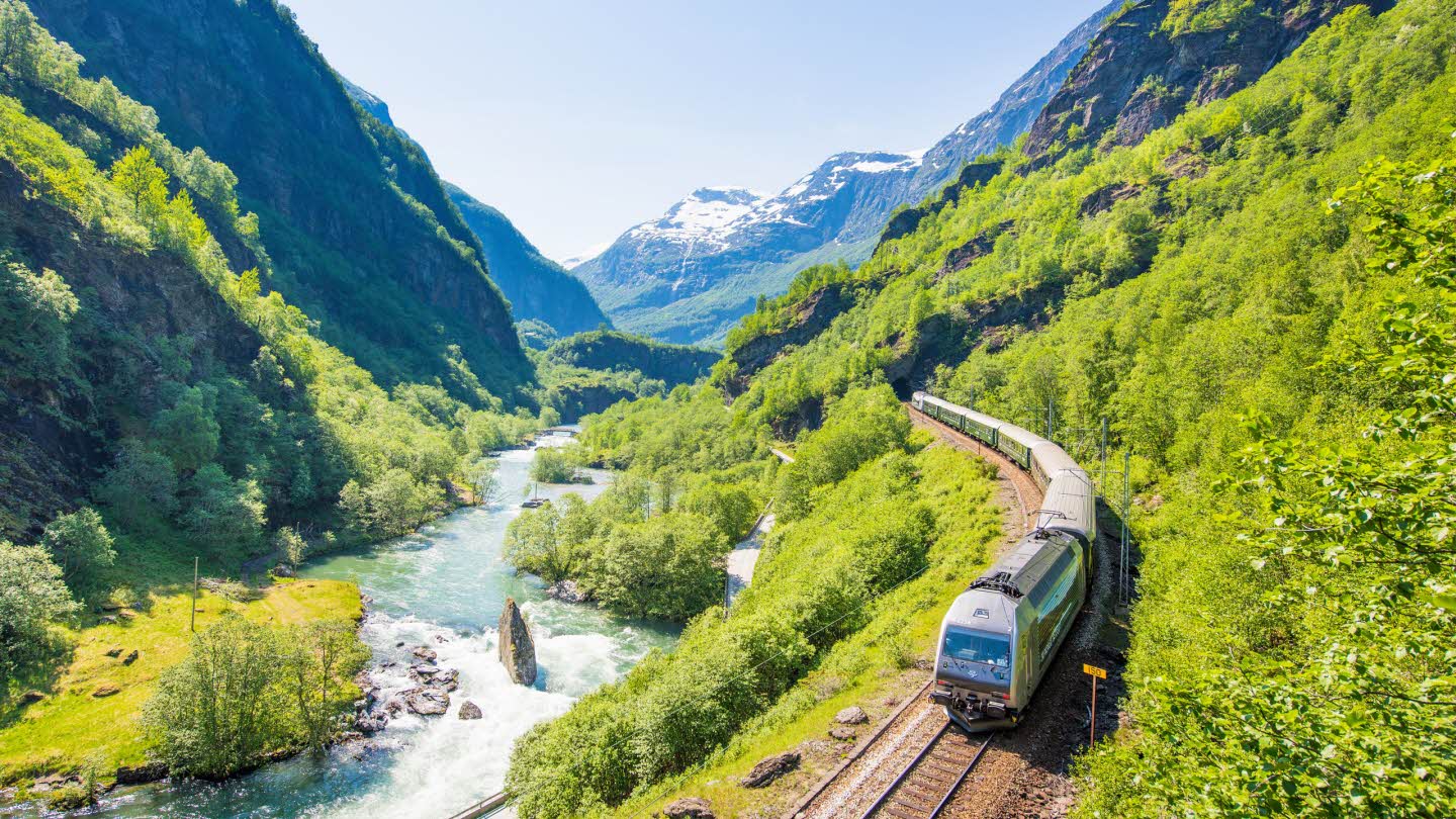 A train descending the Flåm Railway, next to the blue river. Surrounded by green forest.