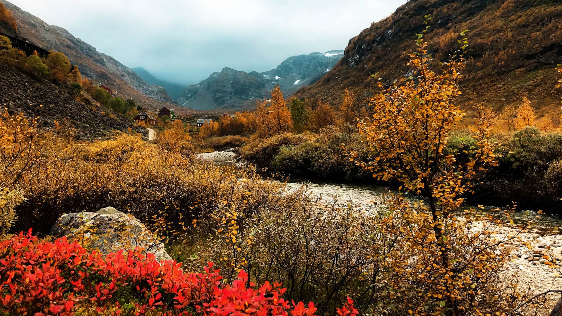 Le rouge vif et le brun de l’automne colorent le sommet de la vallée de Flam et une route de gravier serpente entre les montagnes