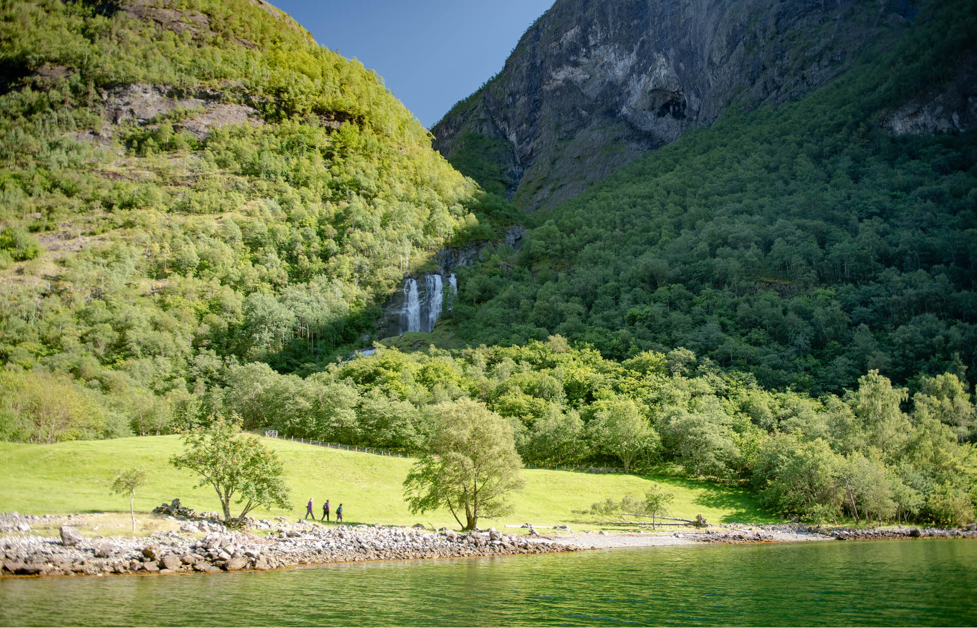 Hikers on a path along the Nærøyfjord. Green field, forest and a waterfall above. 