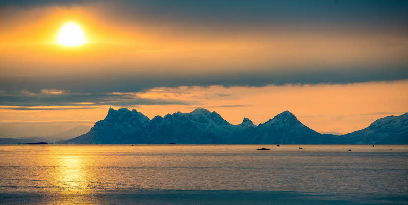 Arctic Experience