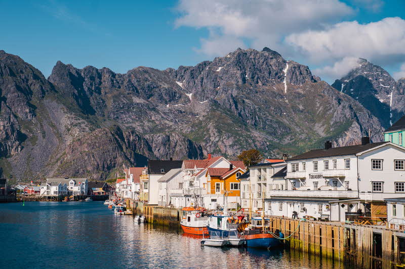 Safari en mer au départ de Henningsvær