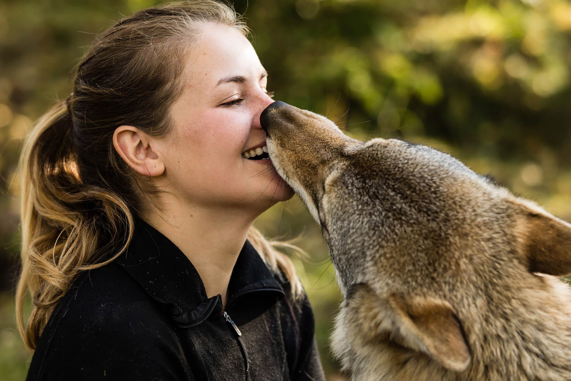 Ein Wolf leckt einer lächelnden jungen Frau mit Pferdeschwanz übers Gesicht. 