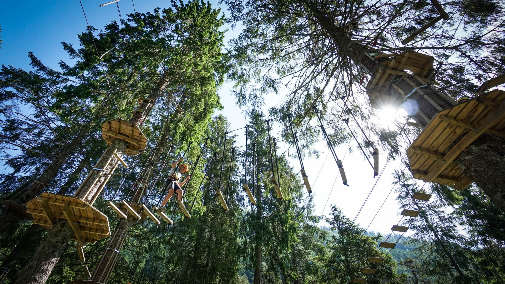 A boy on a bridge of balancing elements between tall spruce trees