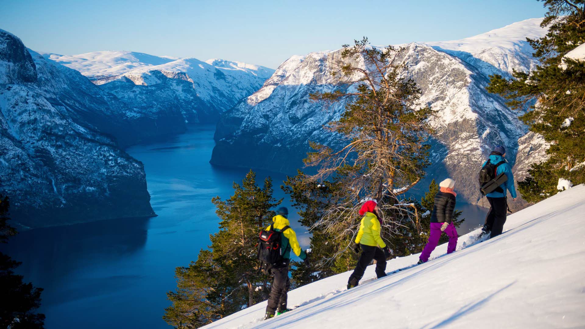 4 people in snow-shoe hiking gear walks across ridge by Aurlandsfjord approx. 900 masl on a sunny winter's day
