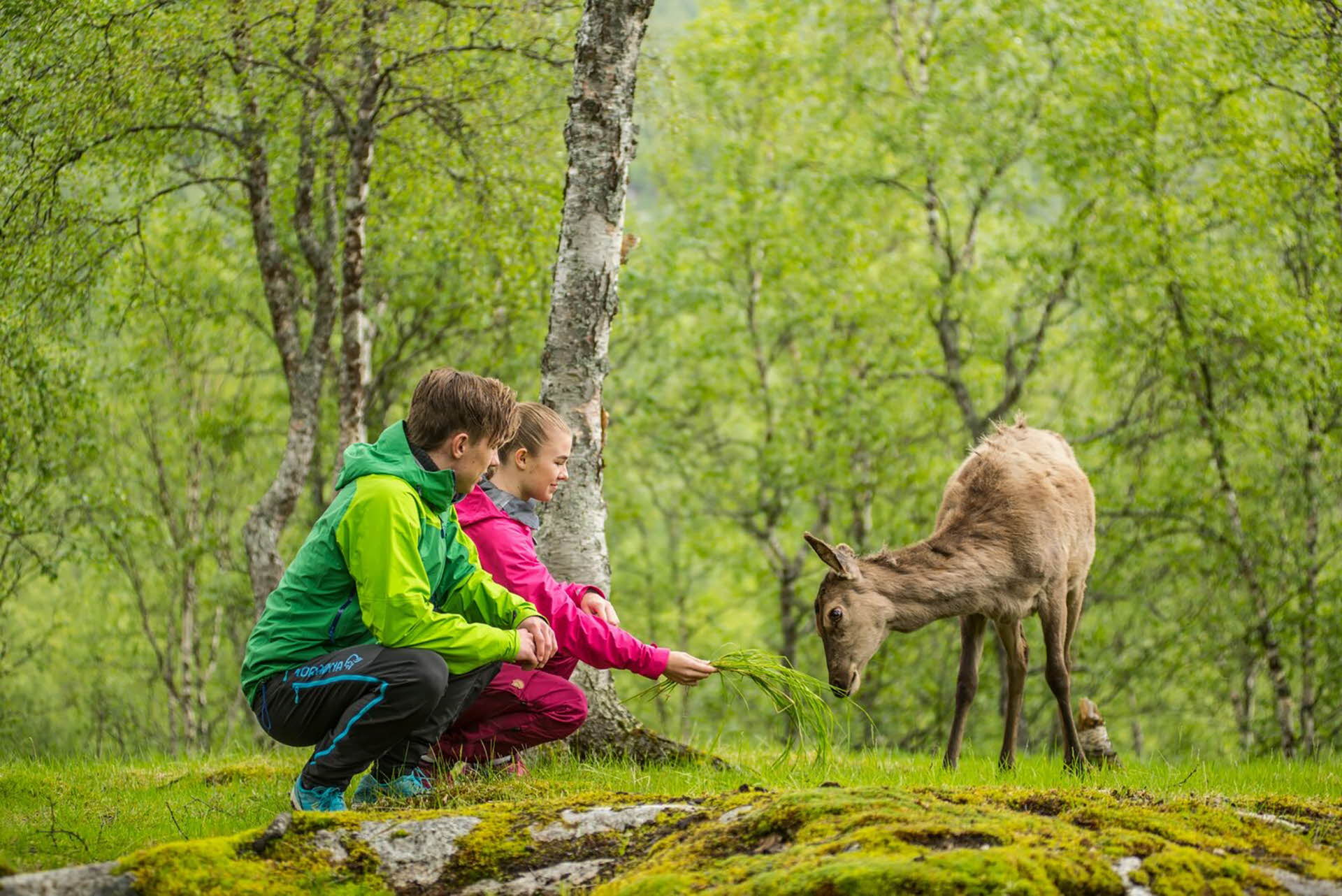 A boy and a girl in green and pink jackets sit by a deer in a green forest.