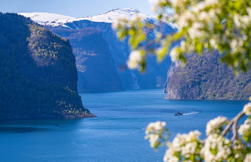 Shuttlebus Flåm–Gudvangen