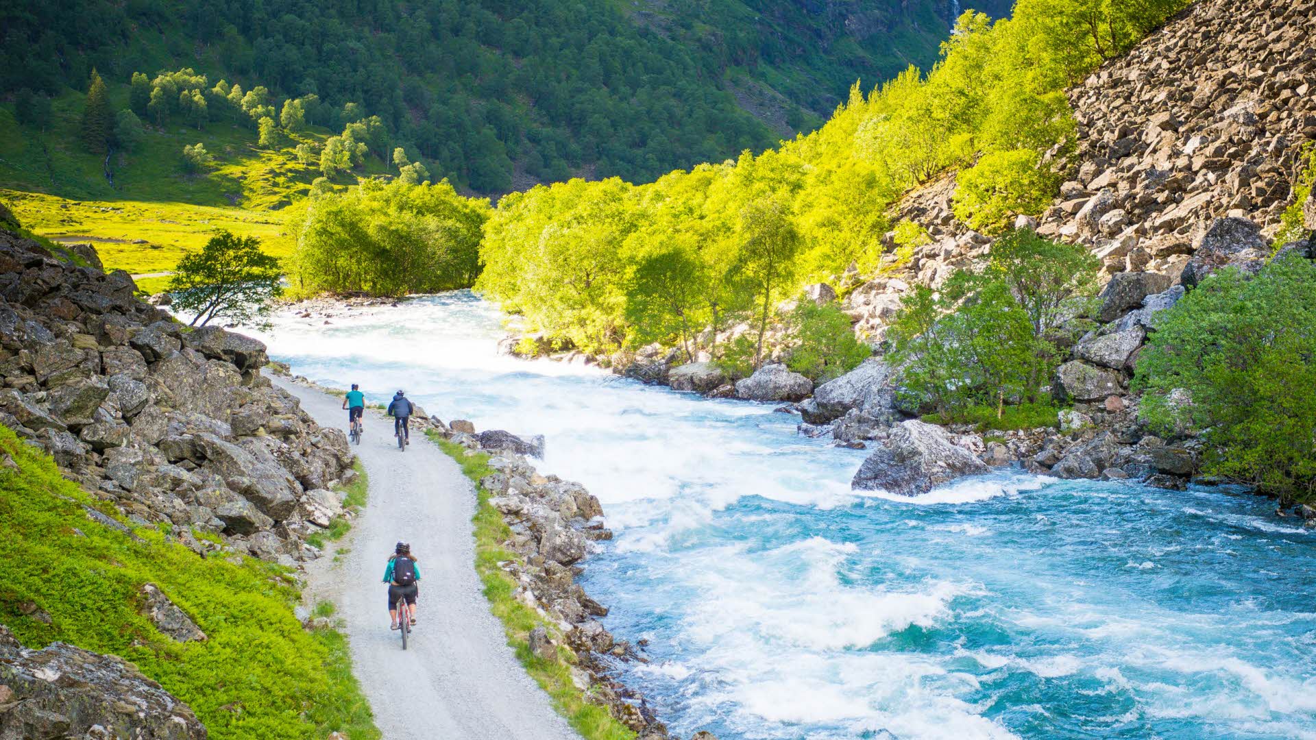 Deux personnes à vélo le long de la rivière en bas de la vallée de Flåm, sur fond de ciel bleu et d’herbe verte