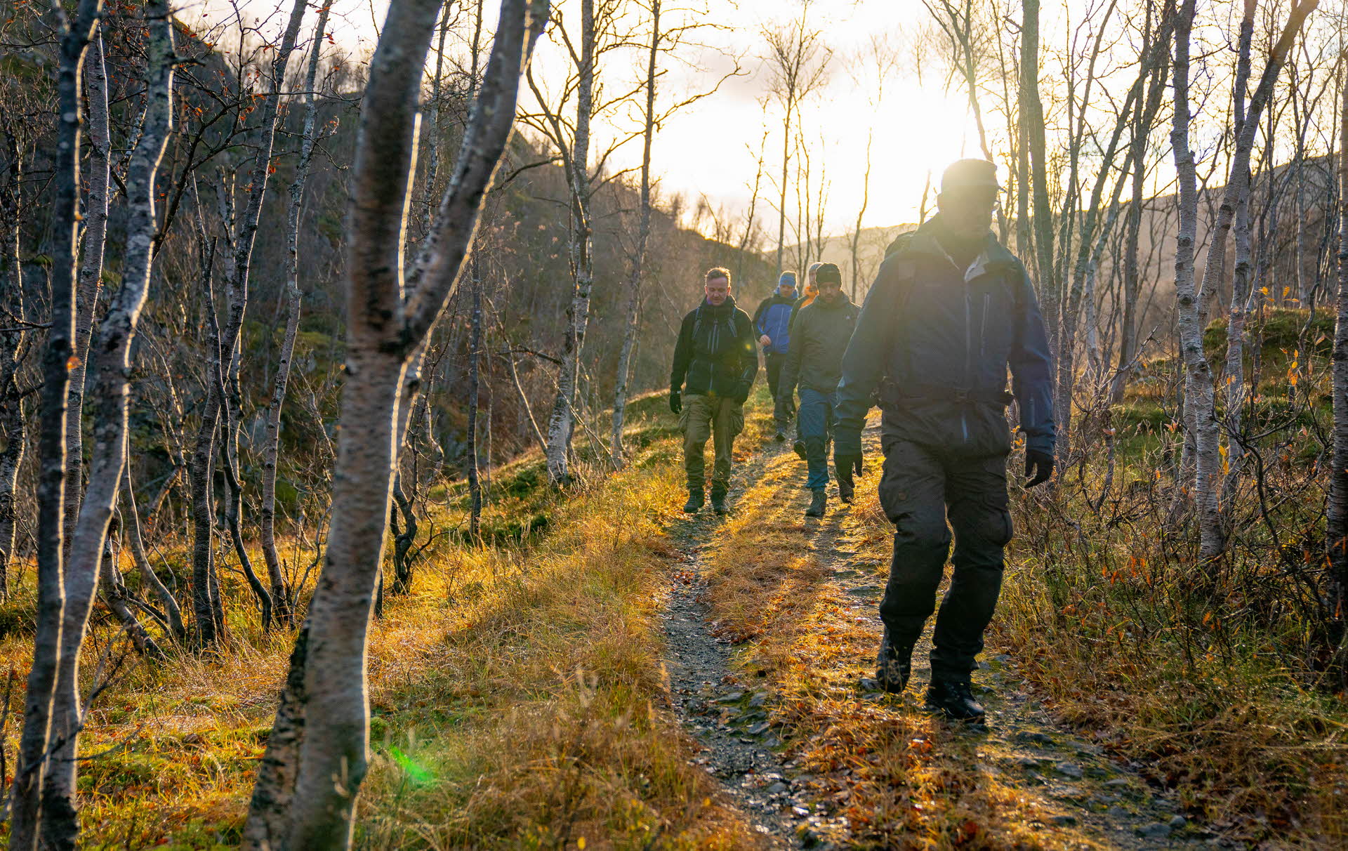 A group of men walking between bare trees on the Rallarveien along the Ofot line