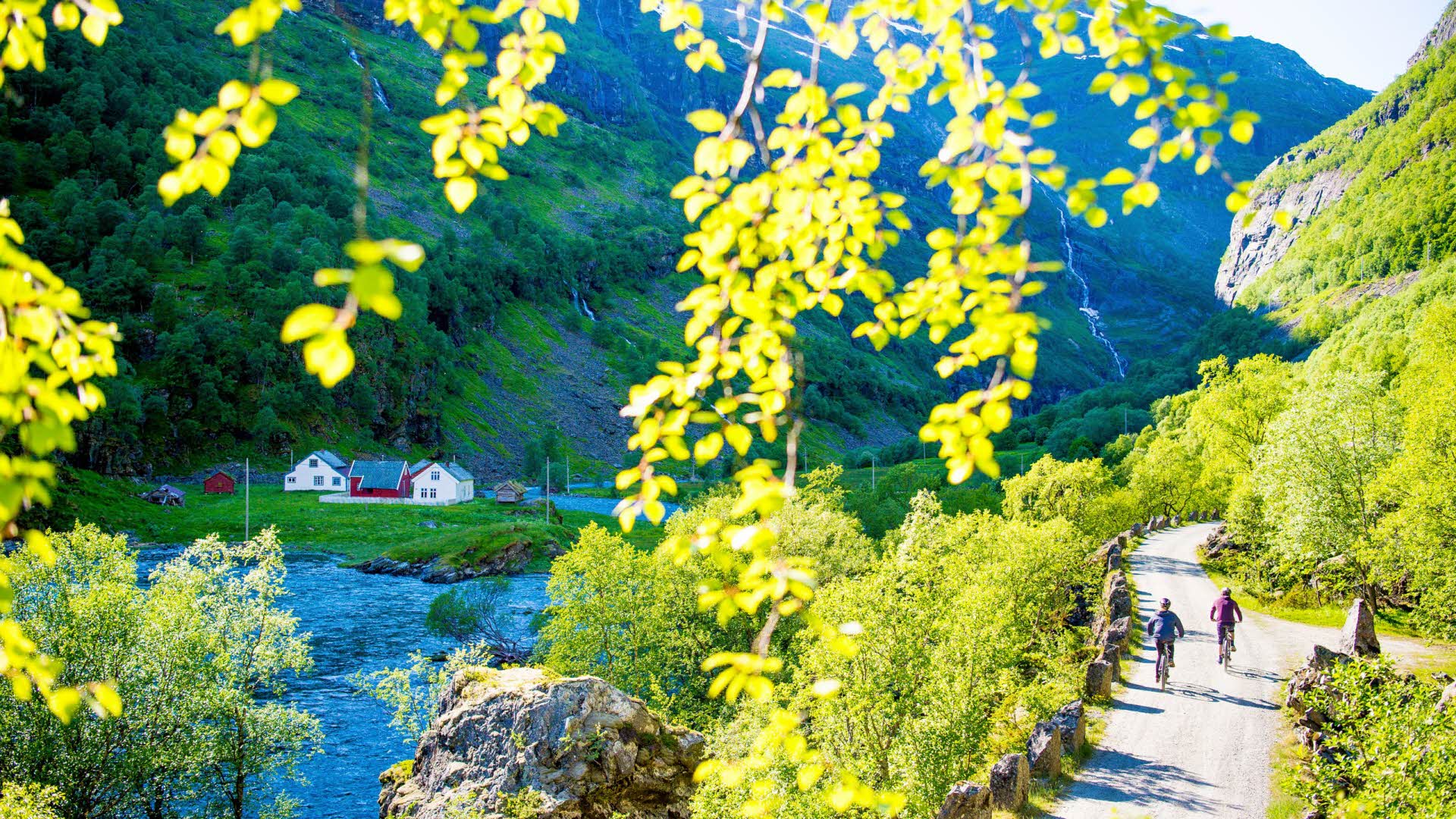 2 personnes descendant à vélo dans la vallée verdoyante de Flåm, sur une route de gravier longeant une rivière tumultueuse