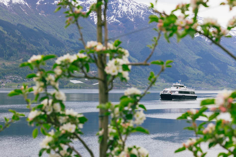 Open calm fjord landscape in blooming summer Hardanger Norway