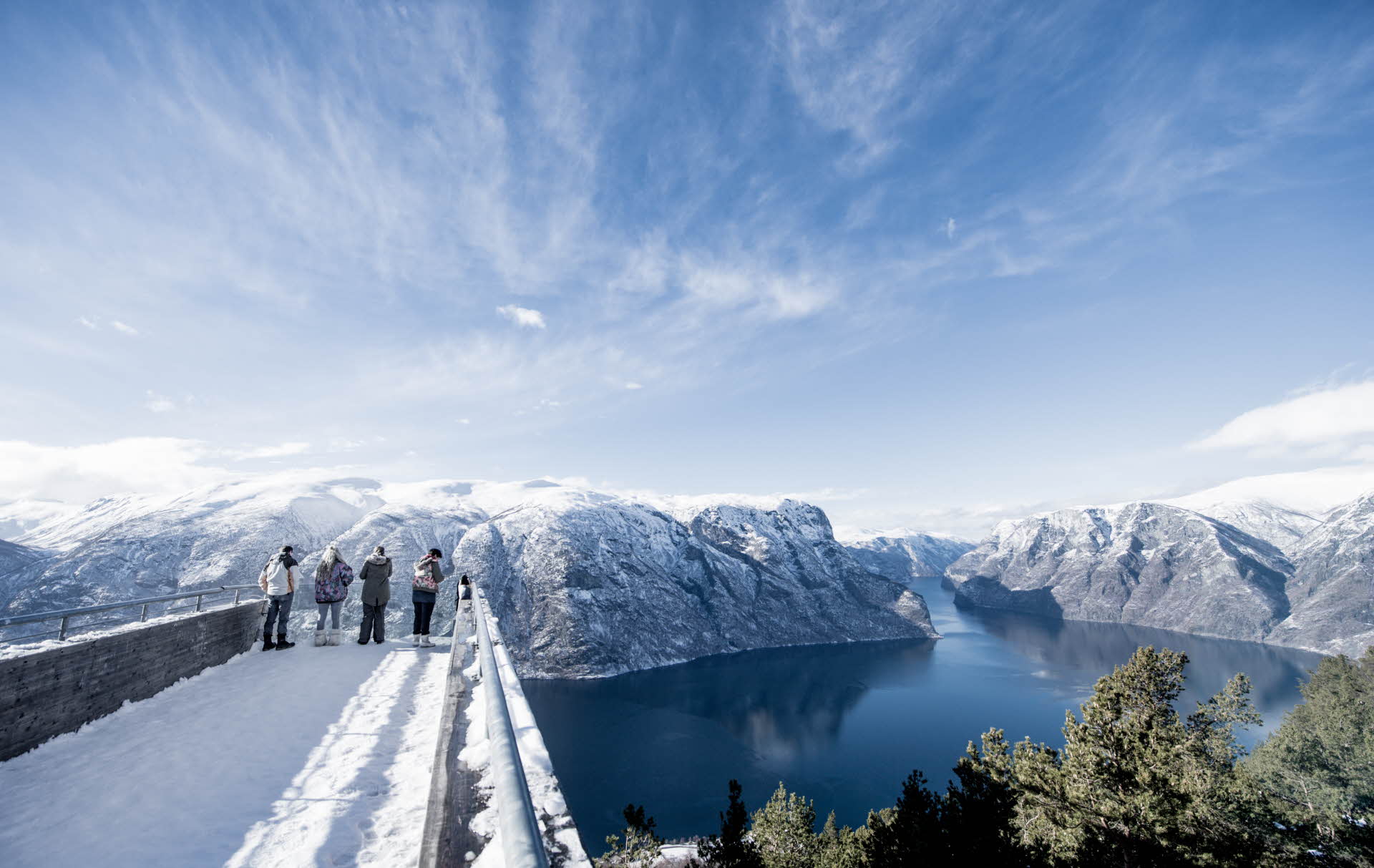 Overview picture towards Stegastein Viewpoint in summer. Green forest, steep mountain sides and the Aurlandsfjord