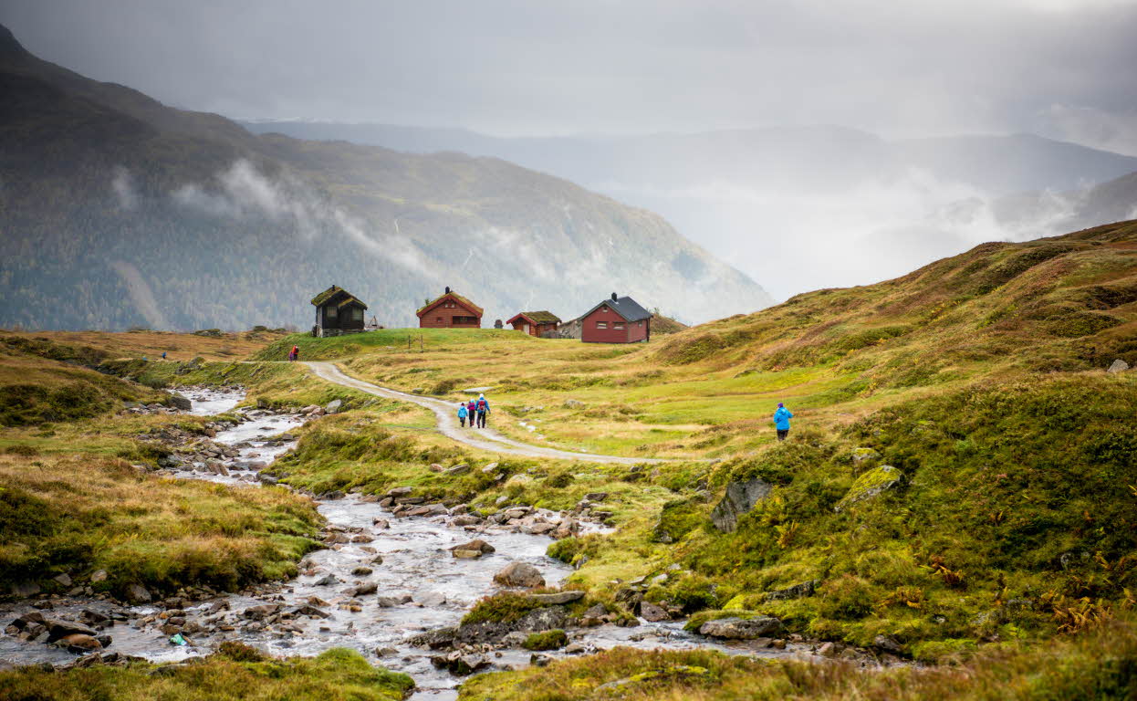 Randonneurs sur la route de la ferme à Mørkvesstølen par une journée d’automne pluvieuse